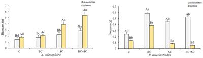 Effects of Septoglomus constrictum and Bacillus cereus on the competitive growth of Ageratina adenophora